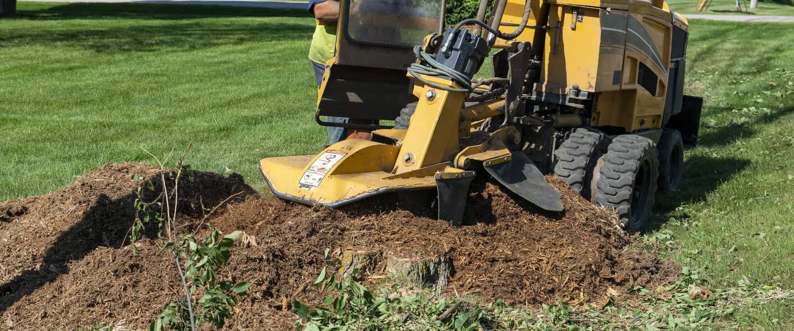 Texas Tree Guy LLC completed tree work